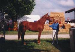 Billedet er fra Roskilde dyrskue 1995,  mor Bianca Lindvig FR7828
