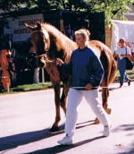 Comet til dyrskue i Roskilde 1998, mor Alette Hulsgrd FR 8055