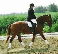 Casmir med dy ejer, mor Bianca Lindvig FR 7828