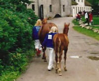 Alf p vej til sommergrs p Esrum Kloster, mor Amanda Kastaniely FR 8255