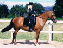 April med rytter barnebarn Cathrine, mor Abilene Appaloosa N 522517