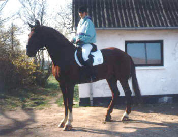 Billede nr. 2