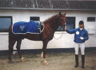 Billede nr. 1