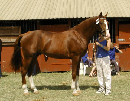 2002