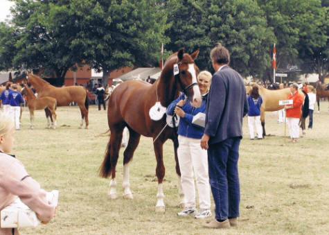 2004