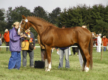 2006